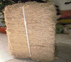 Sugarcane Bagasse Block